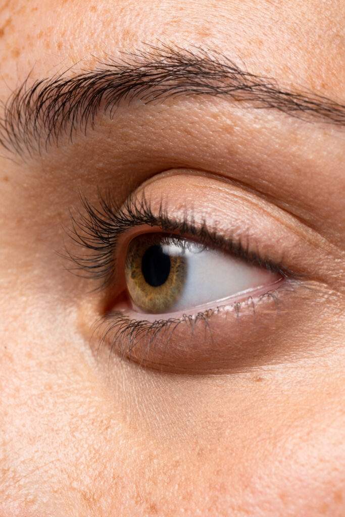 Segmento anterior en Deusto